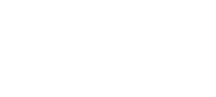 Fion Energy Logo