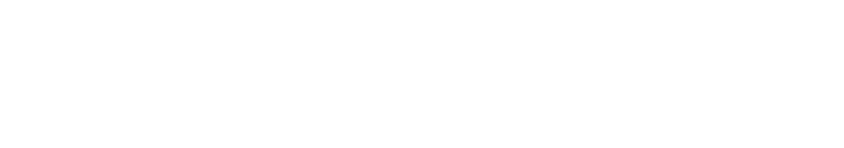 Buddywise Logo